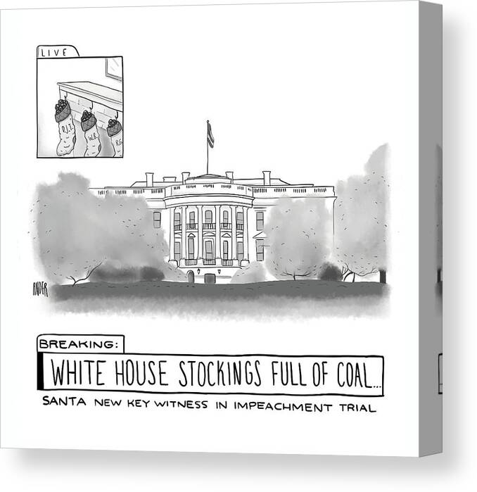 Captionless Canvas Print featuring the drawing White House Stockings by Alexander Andreades