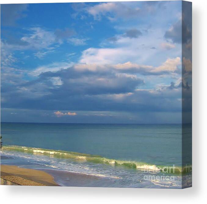 Vero Beach Canvas Print featuring the photograph Natures Beauty by D Hackett