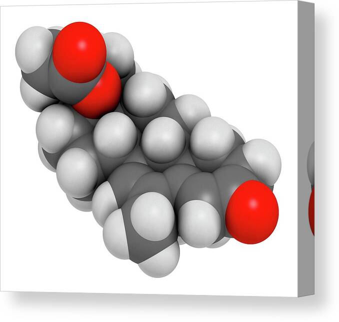 Molecular Model Canvas Print featuring the photograph Megestrol Acetate Appetite Stimulant Drug #2 by Molekuul/science Photo Library