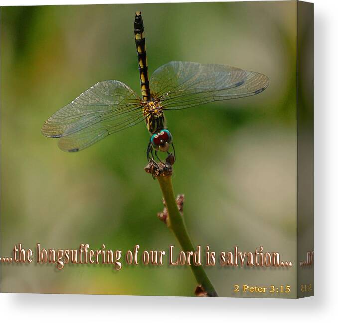 Dragonfly Canvas Print featuring the photograph 2 Peter 3 verse 15 by Leticia Latocki