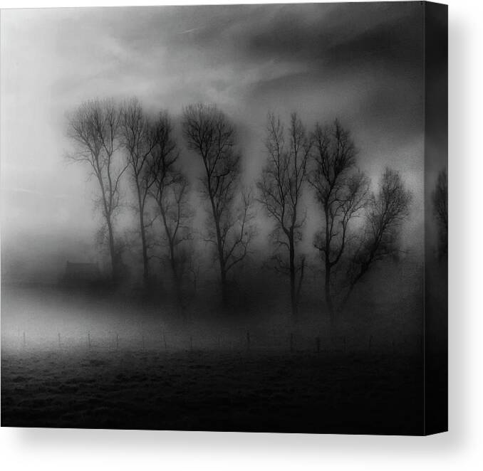 Landscape Canvas Print featuring the photograph 50 Shades Of Fog by Yvette Depaepe