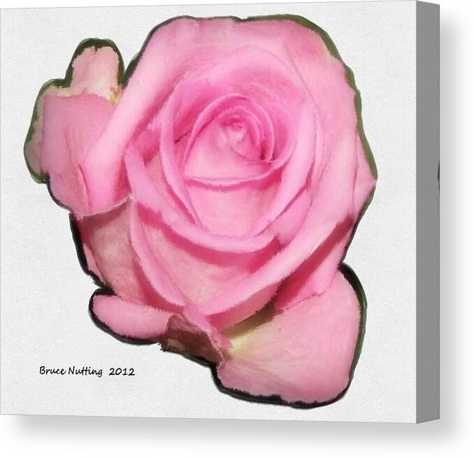Flower Canvas Print featuring the painting A Single Pink Rose by Bruce Nutting
