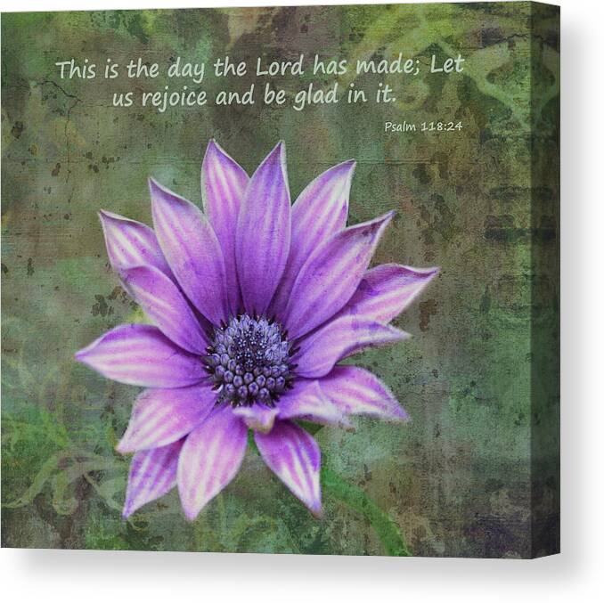African Daisy Canvas Print featuring the photograph African Daisy With Scripture by Sandi OReilly