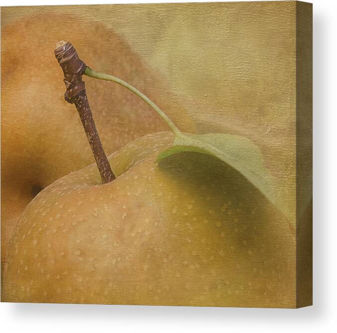 Fruite Canvas Print featuring the photograph Asian Pear by Linda Szabo