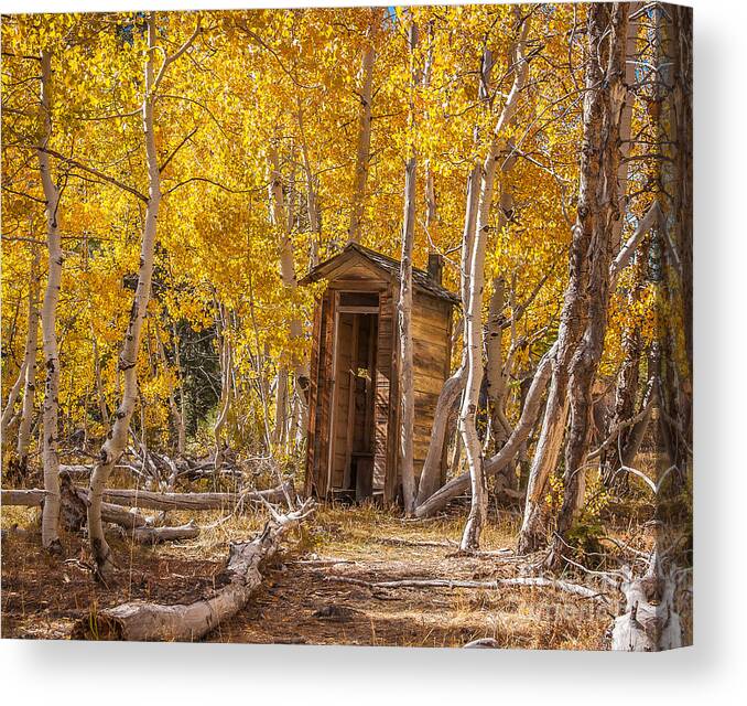 Landscape Canvas Print featuring the photograph Bashful by Charles Garcia