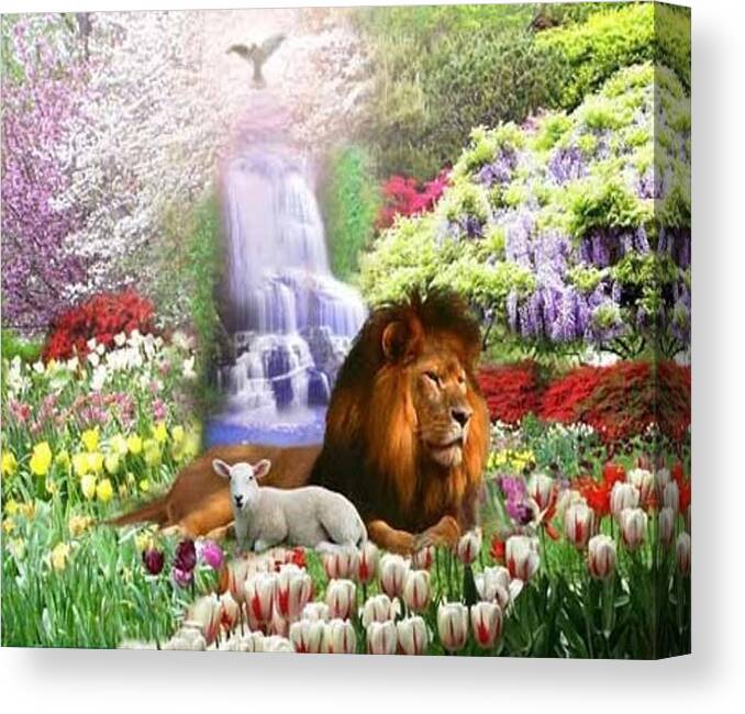 Landscape Canvas Print featuring the photograph Beautiful Garden by Cim Paddock