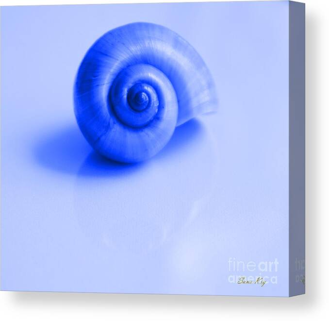 Shell Image Canvas Print featuring the photograph Blue Shell by Oksana Semenchenko