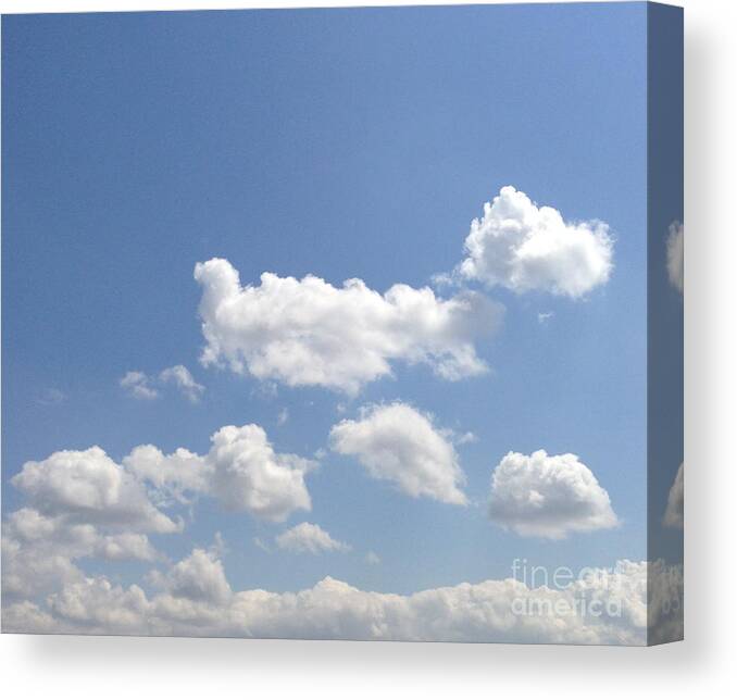 Blue Skies Canvas Print featuring the photograph Blue Skies by M West