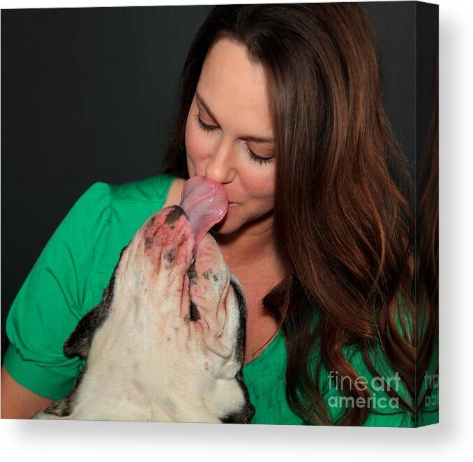 Bulldog Canvas Print featuring the photograph Bulldog Kisses by Pattie Calfy