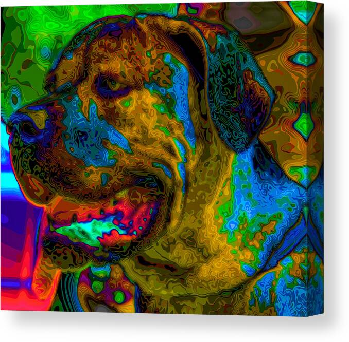 Cane Canvas Print featuring the painting Cane corso pop art by Eti Reid