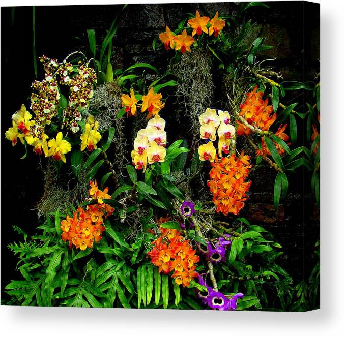 Fine Art Canvas Print featuring the photograph Chorus by Rodney Lee Williams