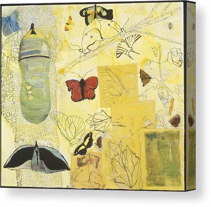Butterflies Canvas Print featuring the mixed media Chrysalis by Dawn Boswell Burke