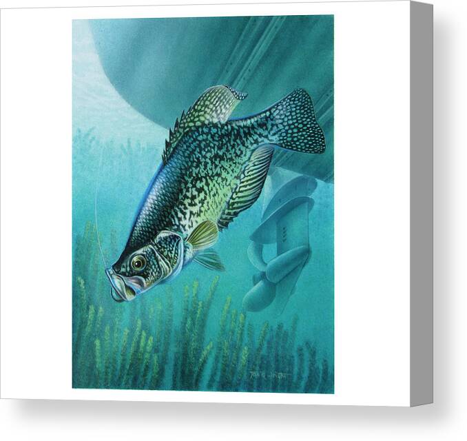 Jon Q Wright Canvas Print featuring the painting Crappie and Boat by JQ Licensing