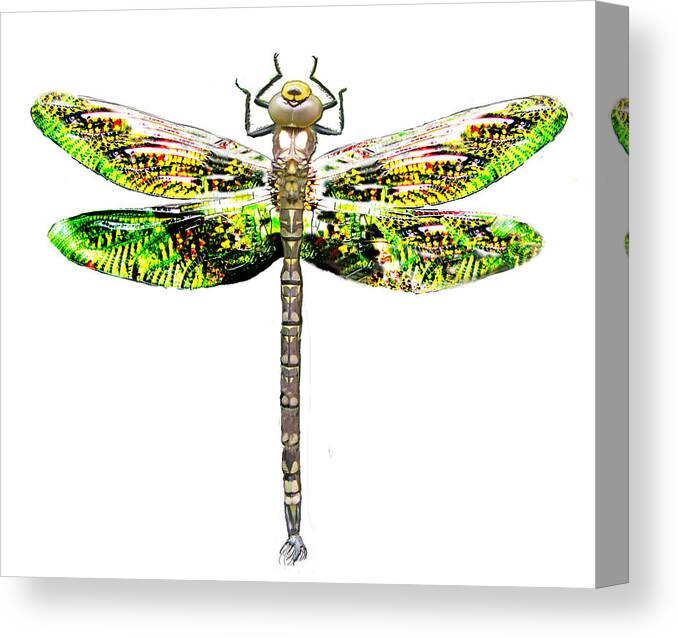 Dragonfly Canvas Print featuring the photograph Dragonfly design by Tom Conway