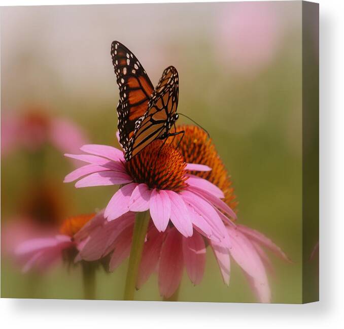 Macro Photography Canvas Print featuring the photograph Easy Landing by Kay Novy