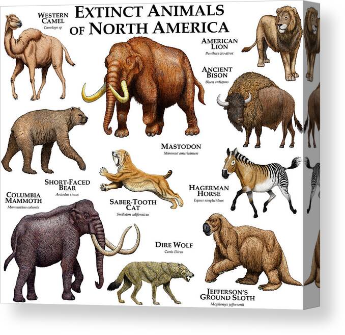 American Lion Canvas Print featuring the photograph Extinct Animals Of North America by Roger Hall