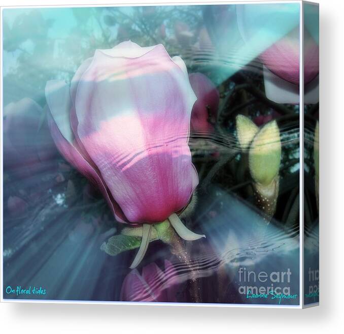 Magnolia Canvas Print featuring the photograph Floral tides by Leanne Seymour