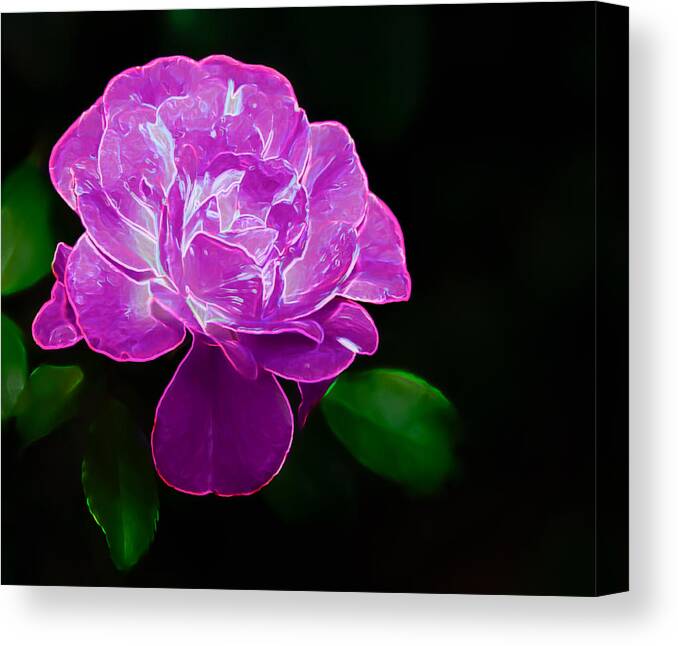 Flowers Canvas Print featuring the photograph Glowing Rose II by Penny Lisowski