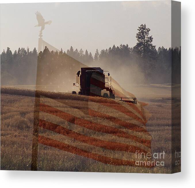 Wheat Canvas Print featuring the photograph Grown in America by Sharon Elliott
