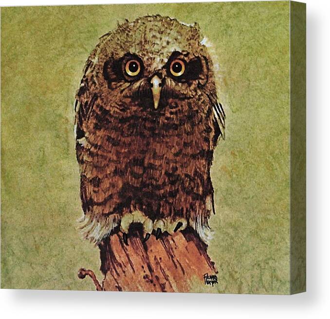Baby Owlet Canvas Print featuring the painting Here's looking at You by Richard Hinger