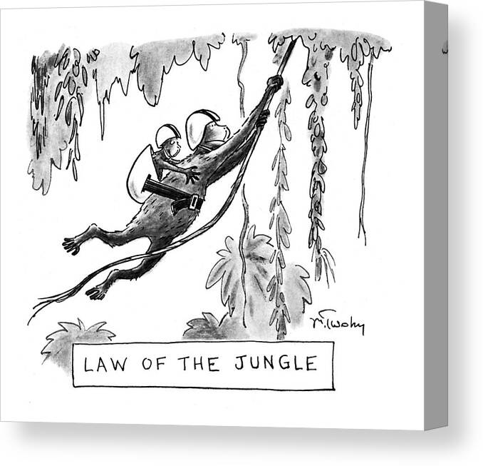Law Of The Jungle
Animals Canvas Print featuring the drawing Law Of The Jungle by Mike Twohy