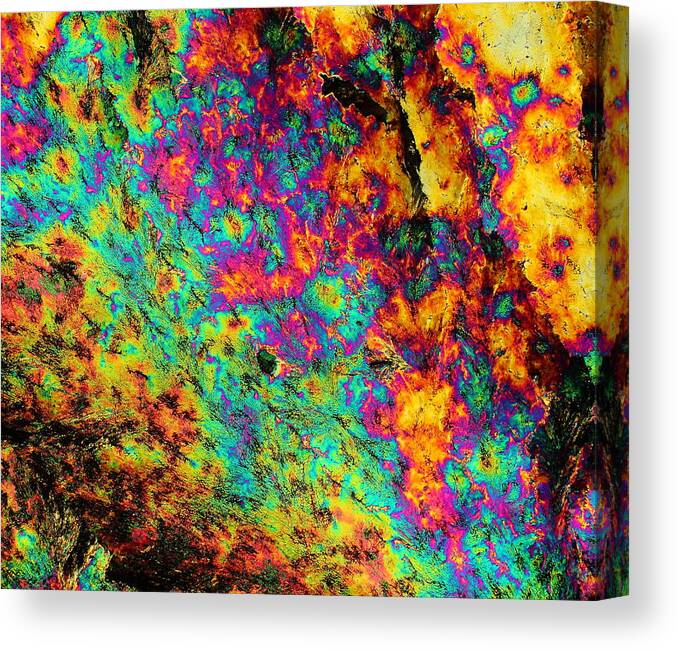 Crystals Canvas Print featuring the photograph Mandrake Root by Hodges Jeffery
