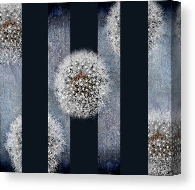 Circle Canvas Print featuring the photograph Modern Dandelion by Steven Michael
