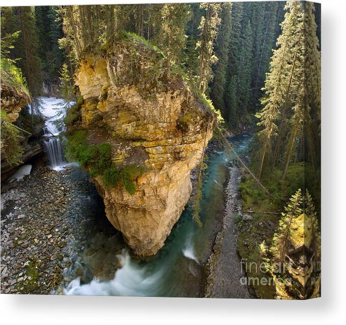 Creek Canvas Print featuring the photograph Morning in Johnston Canyon by Matt Tilghman