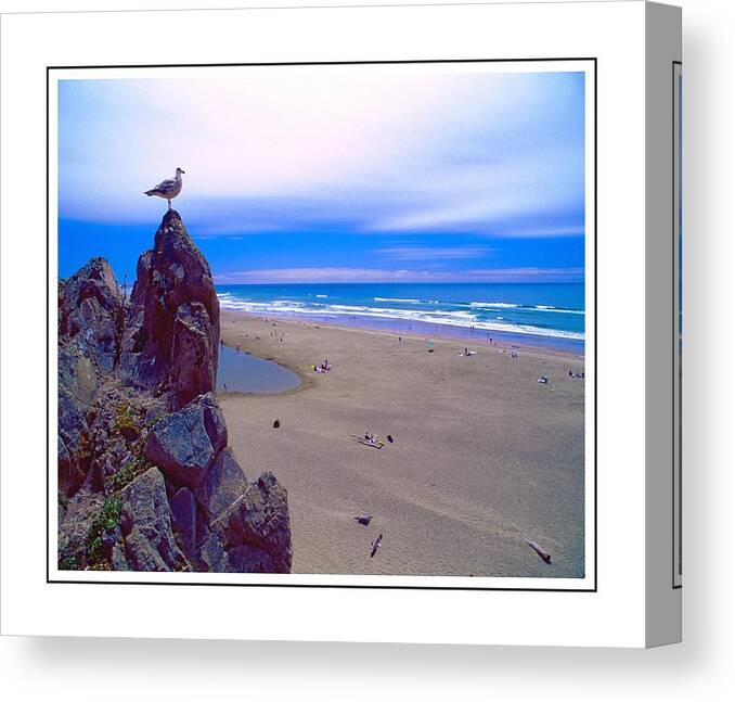 Sea Gull Canvas Print featuring the photograph Ocean Beach SanFrancisco ver. 3 by Larry Mulvehill