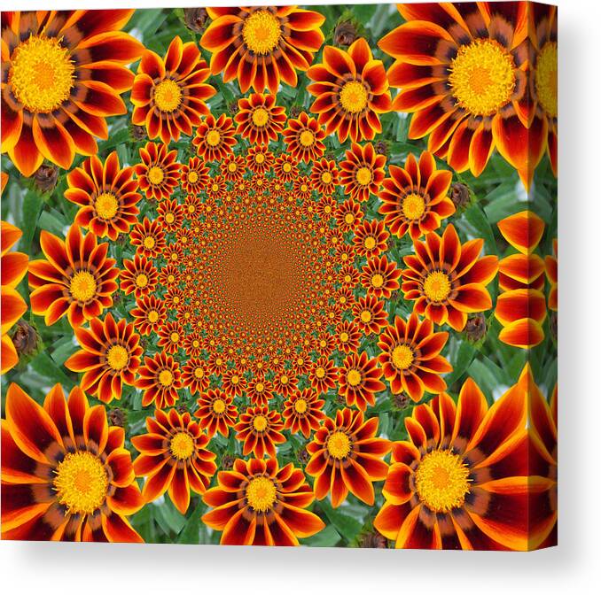 Daisy Canvas Print featuring the photograph Orange Crazy Daisy by Sheri McLeroy