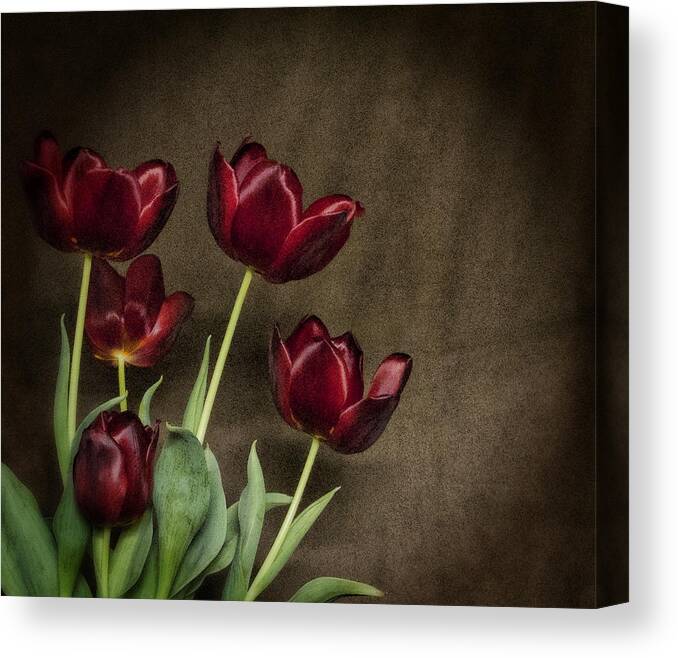 Red Canvas Print featuring the photograph Red Love by Kathy Williams-Walkup
