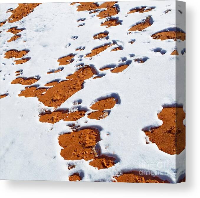 Landscape Canvas Print featuring the digital art Snow on Dunes by Tim Richards