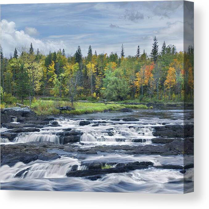 533812 Canvas Print featuring the photograph St Louis River Jay Cooke State Park by Tim Fitzharris