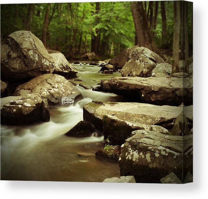 Stream Canvas Print featuring the photograph St. Peters Stream by Michael Porchik