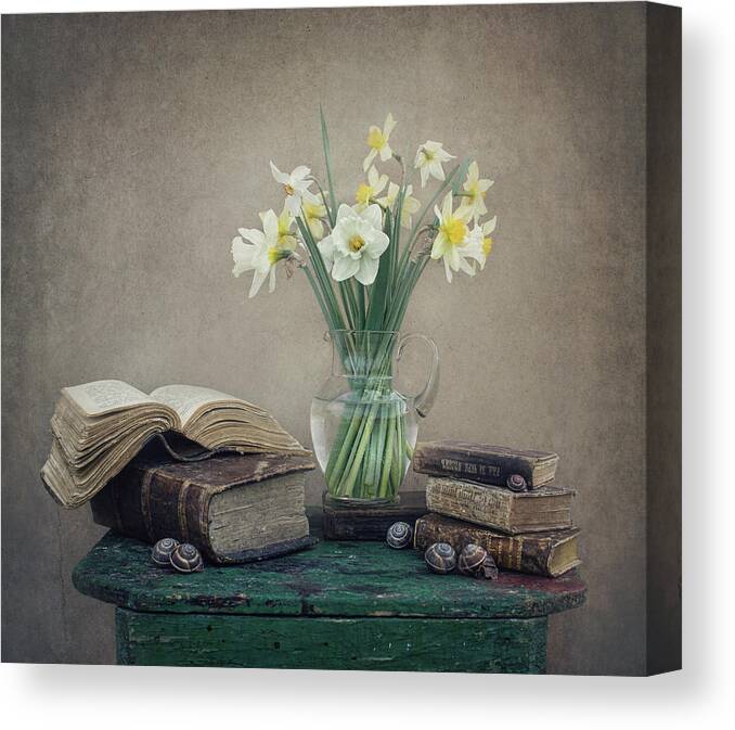 Daffodil Canvas Print featuring the photograph Still Life With Daffodils, Old Books And Snails by Dimitar Lazarov -
