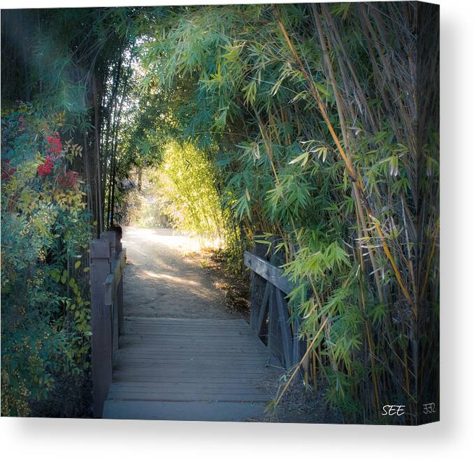 Portal Canvas Print featuring the photograph The Portal by Susan Eileen Evans