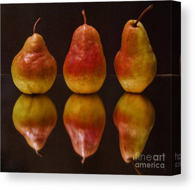 Three Canvas Print featuring the photograph Three Pears by Jacklyn Duryea Fraizer