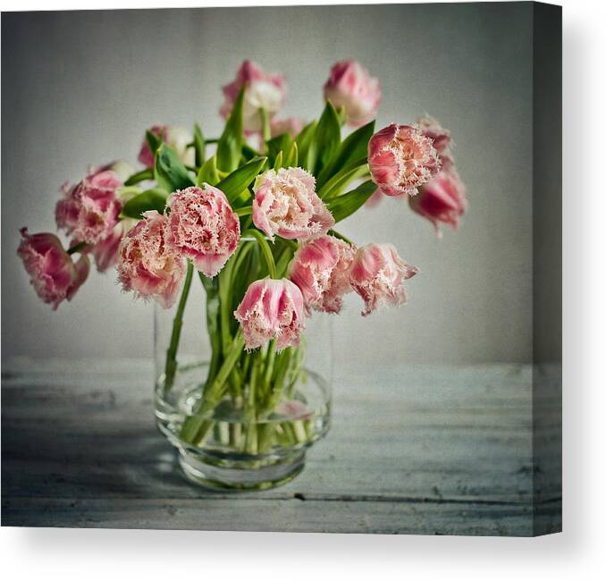 Tulip Canvas Print featuring the photograph Tulip Still Life by Nailia Schwarz