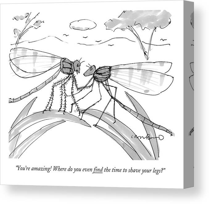 Flies Canvas Print featuring the drawing Two Flies In A Relationship Discussing by Michael Crawford