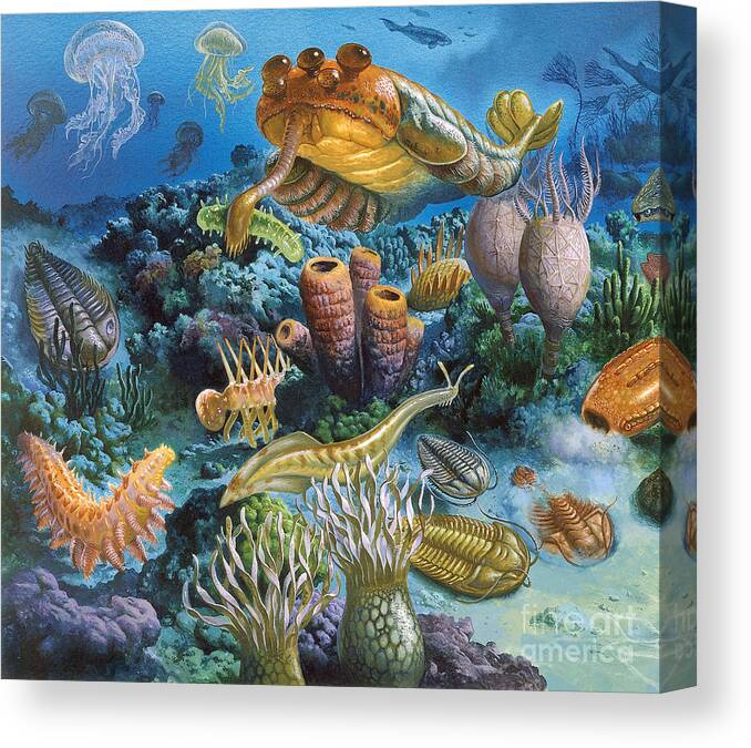Illustration Canvas Print featuring the photograph Underwater Paleozoic Landscape by Publiphoto