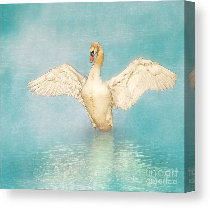 Swan Canvas Print featuring the photograph White Angel by Hannes Cmarits