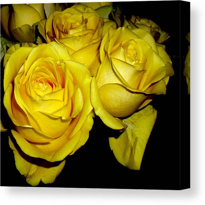 Floral Canvas Print featuring the photograph Yellow Roses by Fred Wilson