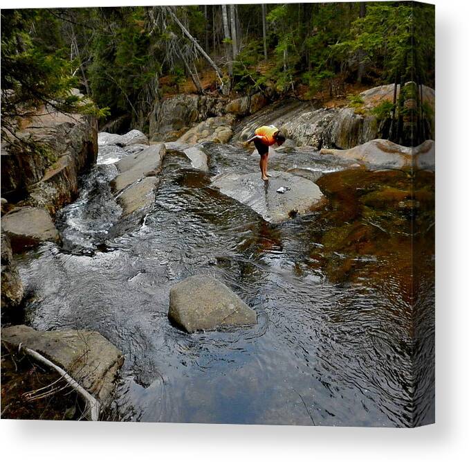 Landscape Canvas Print featuring the photograph Among the Brook by George Ramos