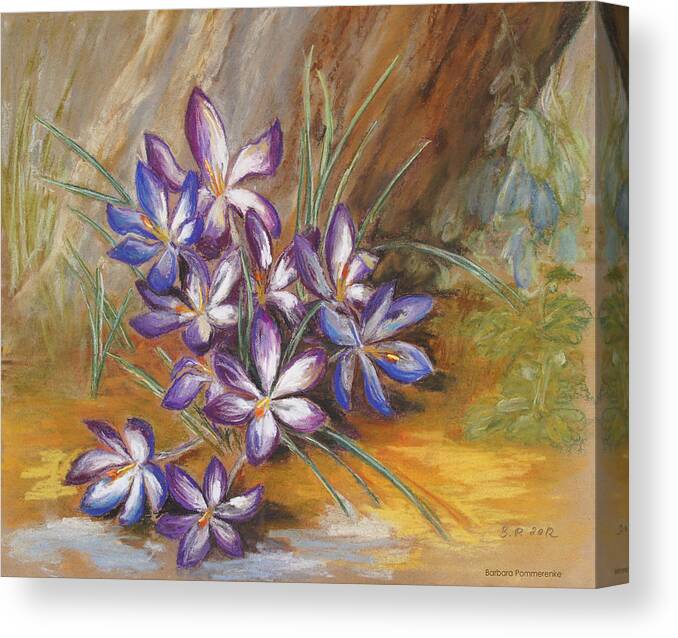 Crocus Canvas Print featuring the drawing Crocuses Under My Old Apple Tree by Barbara Pommerenke