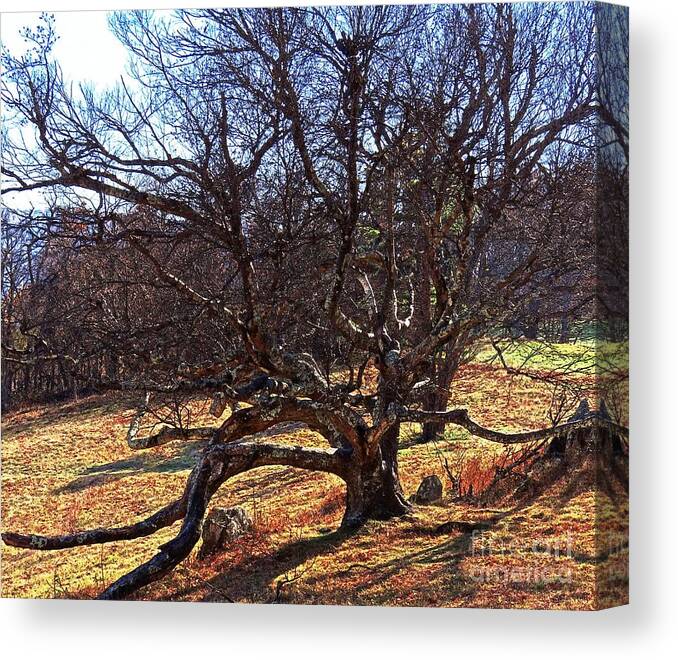 Blue Ridge Canvas Print featuring the photograph Hard Time by Steven Lebron Langston