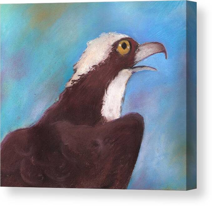 Osprey Canvas Print featuring the painting Osprey by Susan Herbst
