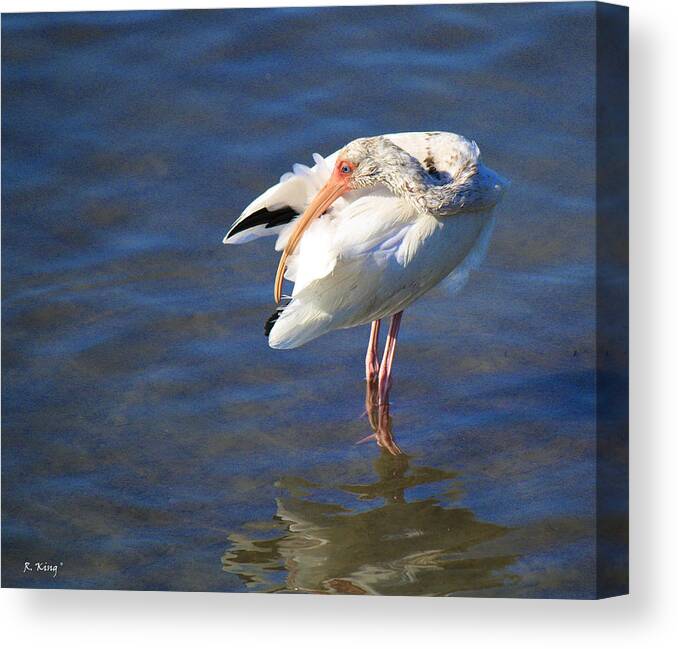 Roena King Canvas Print featuring the photograph Preening The Evening Ritual by Roena King