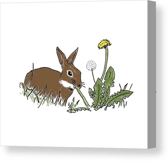  Canvas Print featuring the drawing Rabbit Eating by Daniel Reed