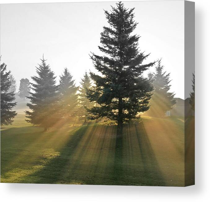 The Magic Of The Morning Light Canvas Print featuring the photograph The Magic Of The Morning Light by Nick Mares