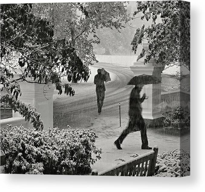 Snow Canvas Print featuring the photograph The October Snow by Marysue Ryan